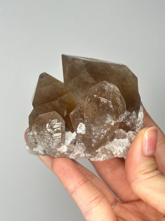 Smoky Quartz Cluster with Golden Rutile Inclusions | Sparkling Crystal for Energy Clearing, Focus, and Elevated Decor
