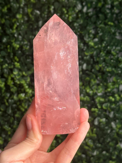 HQ Gemmy Rose Quartz Tower from Brazil | Natural High Clarity Pink Quartz Crystal Point | Collector Specimen, Home Decor & Gift