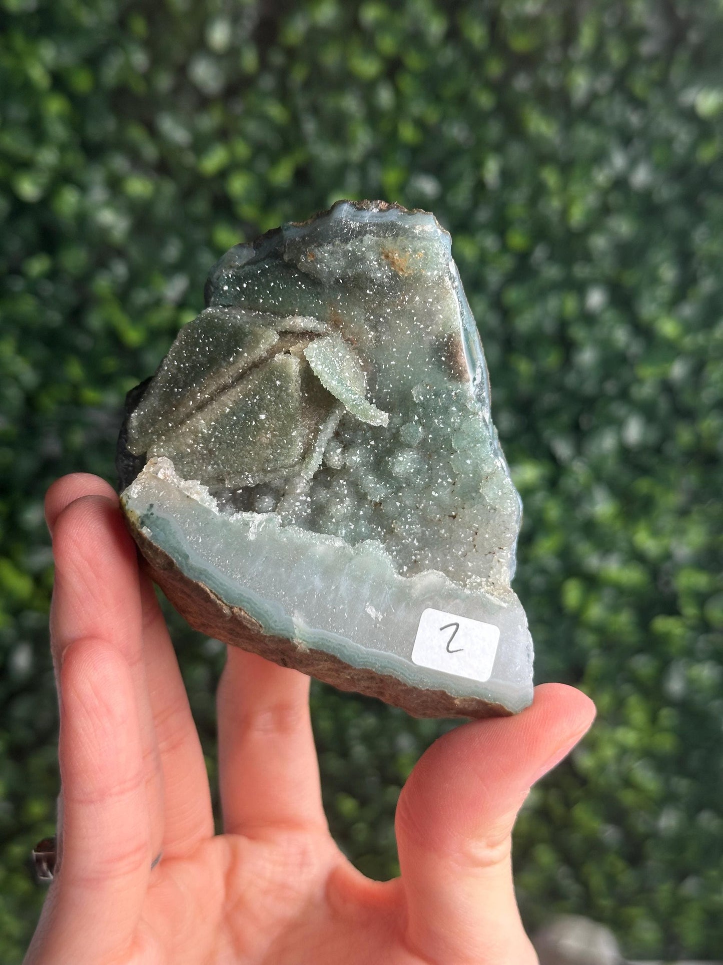 Green Amethyst Specimen | Natural Prasiolite Quartz Crystal Cluster | Sparkling Mineral Decor, Collector Display & Unique Gift