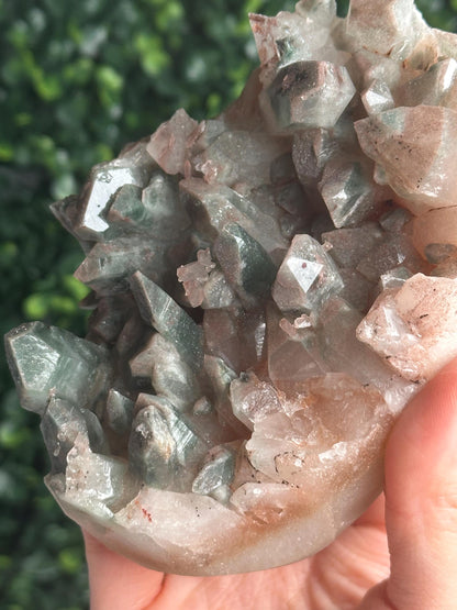 Himalayan Quartz Cluster with Hematite Dusting | Natural Sparkling Quartz Crystal Specimen | Collector Mineral Display, Home Decor & Gift