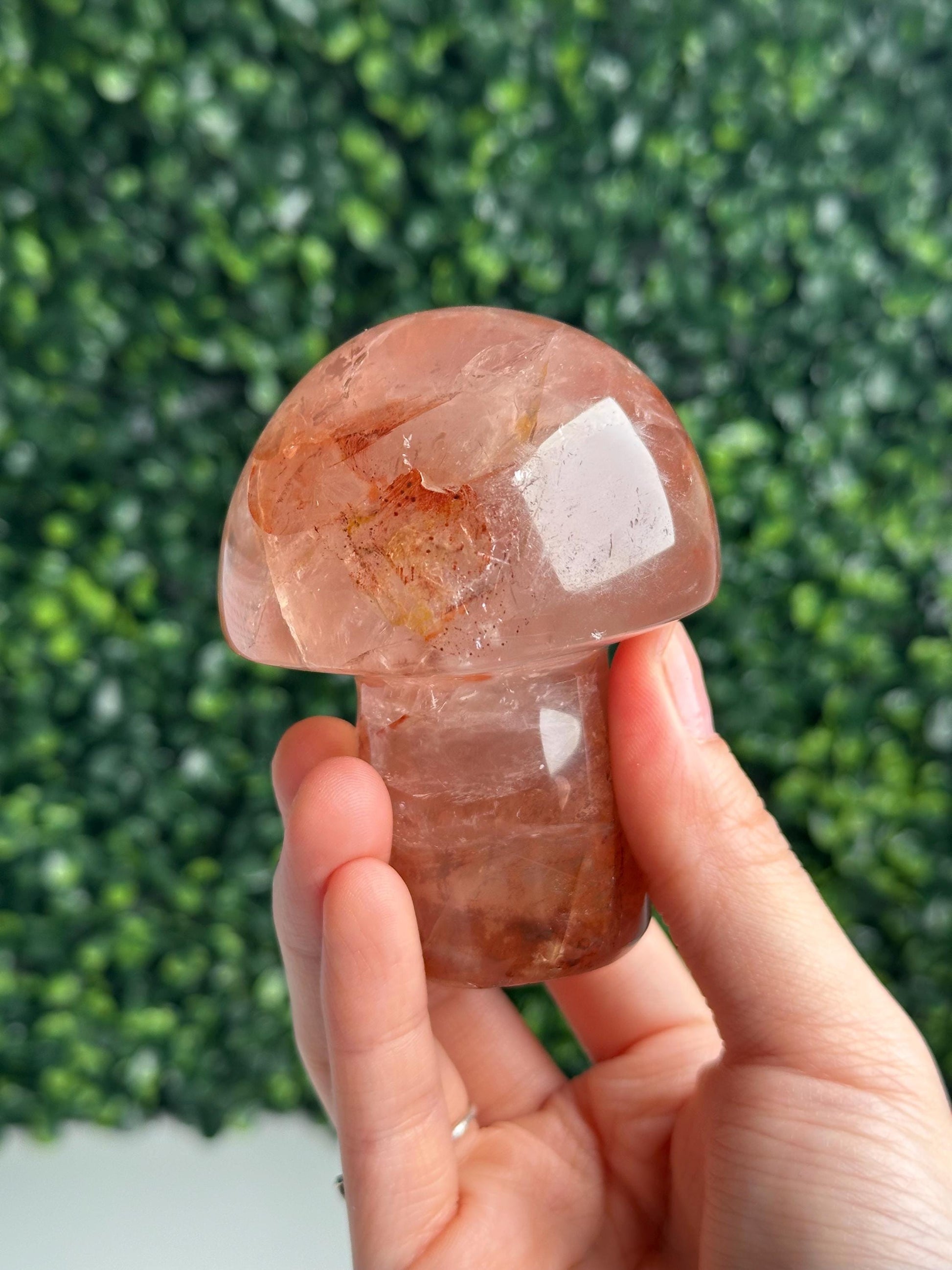 Hematoid Star Rose Quartz Mushroom | Natural Pink Quartz Crystal Carving | Fire Quartz Included Gemstone Decor Gift for Collectors & Display