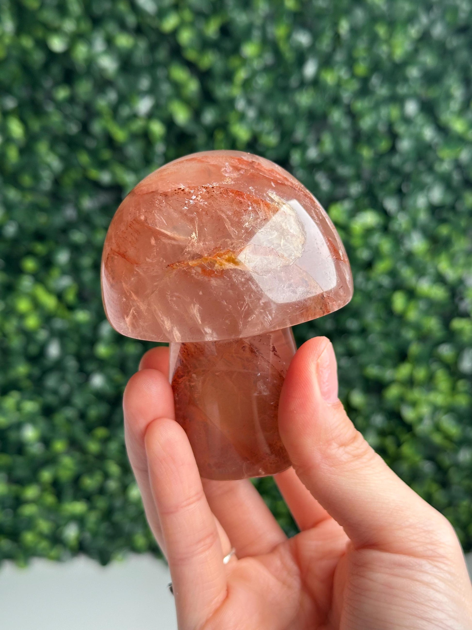 Hematoid Star Rose Quartz Mushroom | Natural Pink Quartz Crystal Carving | Fire Quartz Included Gemstone Decor Gift for Collectors & Display