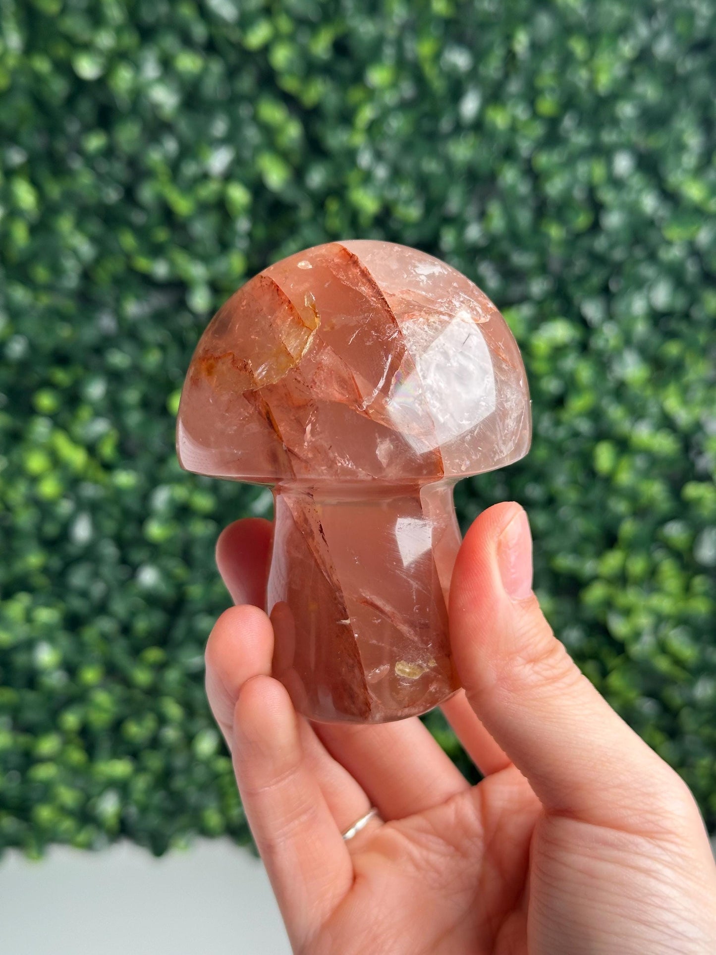Hematoid Star Rose Quartz Mushroom | Natural Pink Quartz Crystal Carving | Fire Quartz Included Gemstone Decor Gift for Collectors & Display
