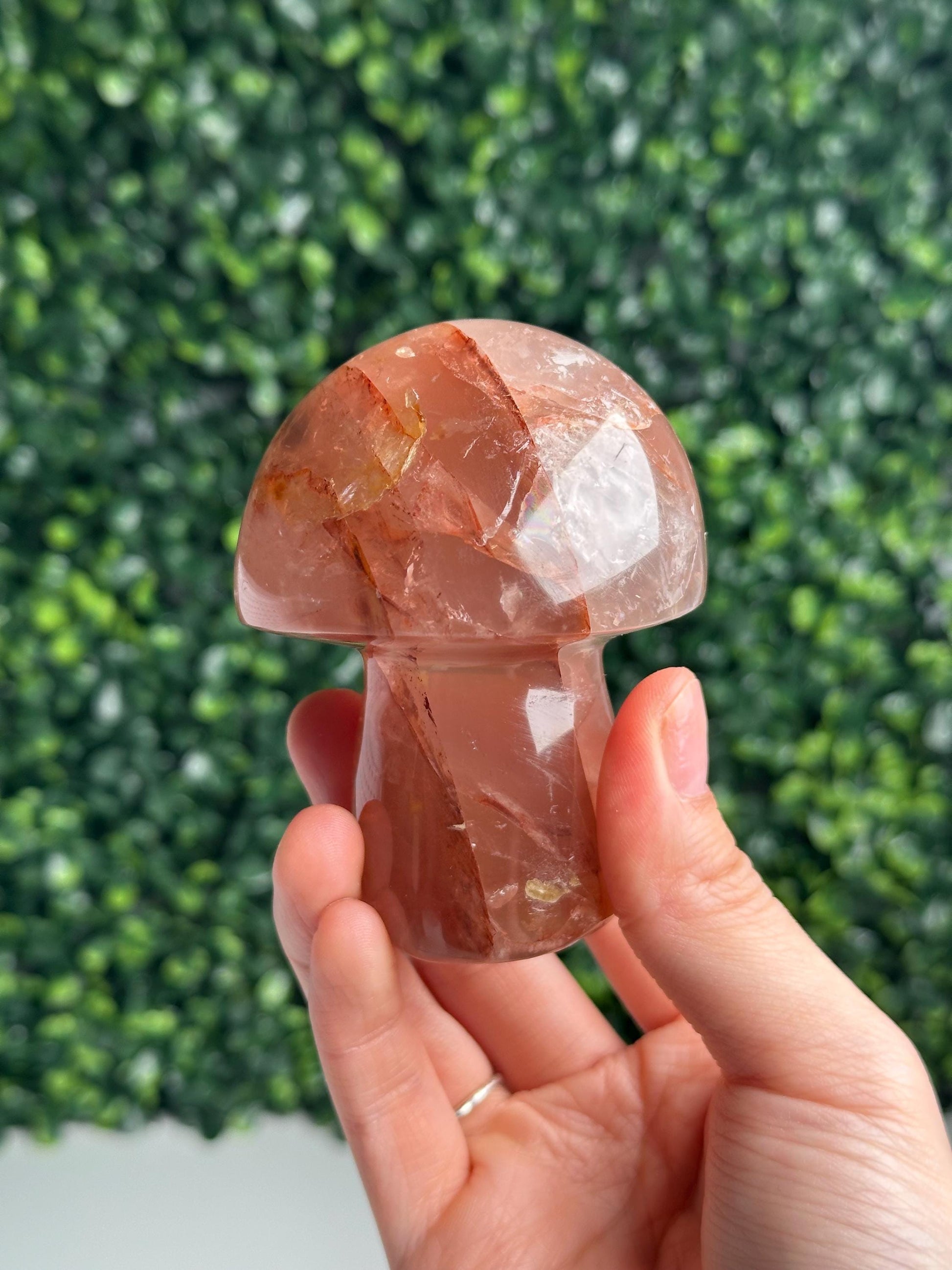 Hematoid Star Rose Quartz Mushroom | Natural Pink Quartz Crystal Carving | Fire Quartz Included Gemstone Decor Gift for Collectors & Display
