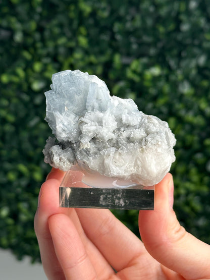 Blue Barite on Quartz from Moscona Mine, Spain | Natural Barite Crystal Specimen on Quartz Matrix | Mineral Collector Display & Unique Gift