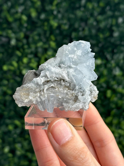 Blue Barite on Quartz from Moscona Mine, Spain | Natural Barite Crystal Specimen on Quartz Matrix | Mineral Collector Display & Unique Gift
