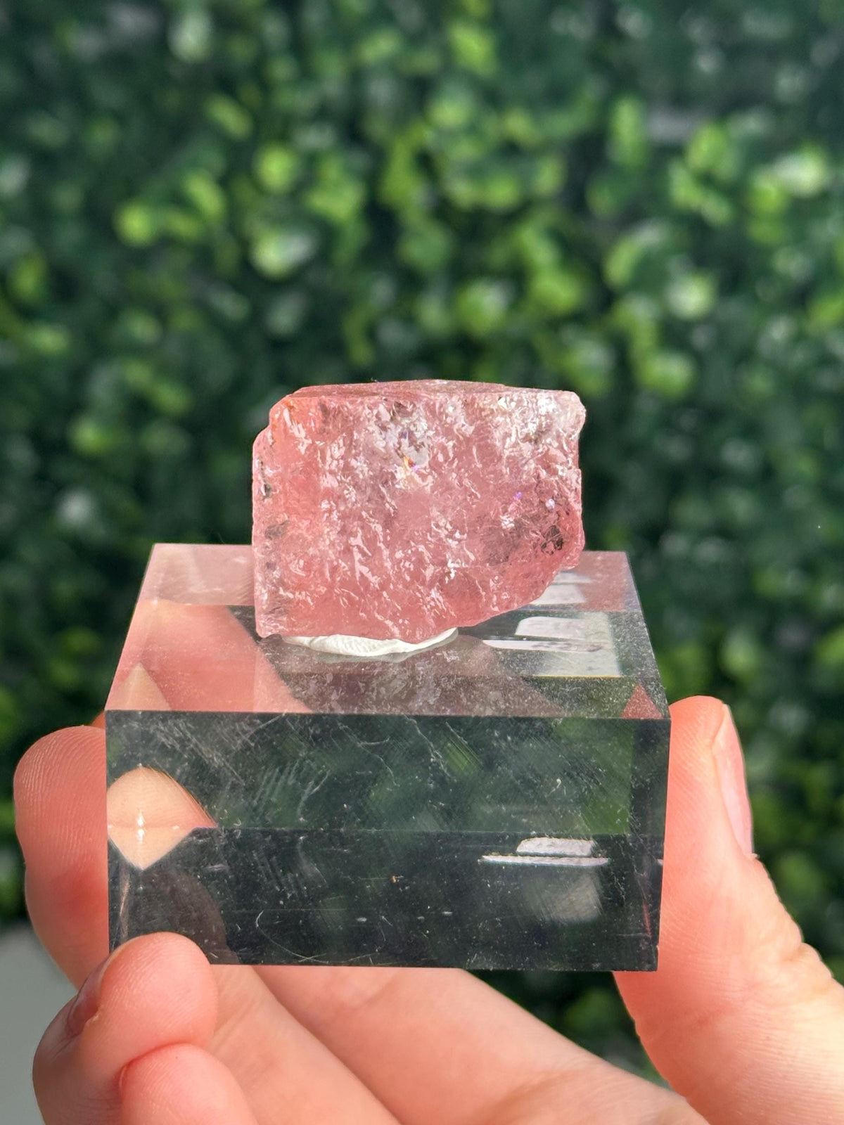 Gemmy Pink Apatite Specimen | Rosy Crystal Formation | Natural Mineral Display Piece | Collector Showcase Decorative Accent
