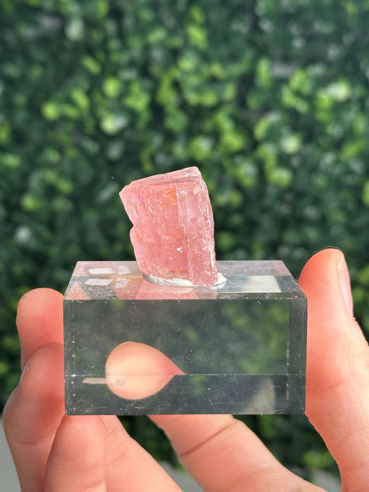 Gemmy Pink Apatite Specimen | Rosy Crystal Formation | Natural Mineral Display Piece | Collector Showcase Decorative Accent