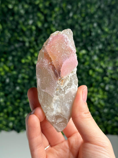 Crystallized Rose Quartz on Quartz from Paprok, Afghanistan | Natural Gemmy Pink Crystal Specimen | Collector Mineral Display & Unique Gift
