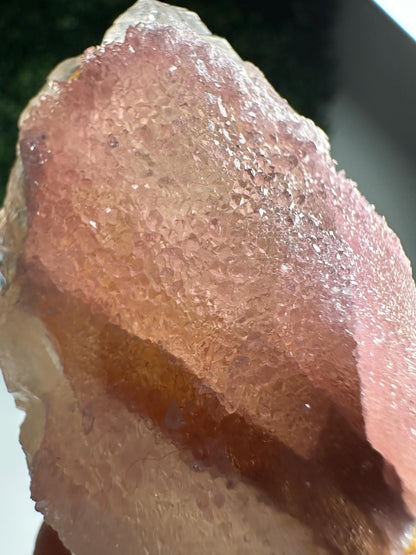 Crystallized Rose Quartz on Quartz from Paprok, Afghanistan | Natural Gemmy Pink Crystal Specimen | Collector Mineral Display & Unique Gift