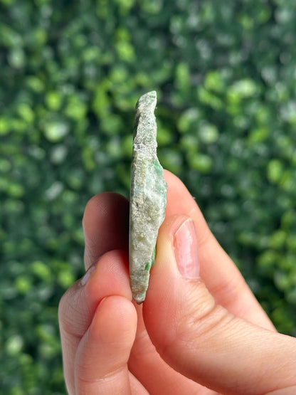 Jadeite from Monviso, Piedmont, Italy | Natural Alpine Jade Crystal Specimen | Collector Mineral Display, Home Decor & Unique Gift