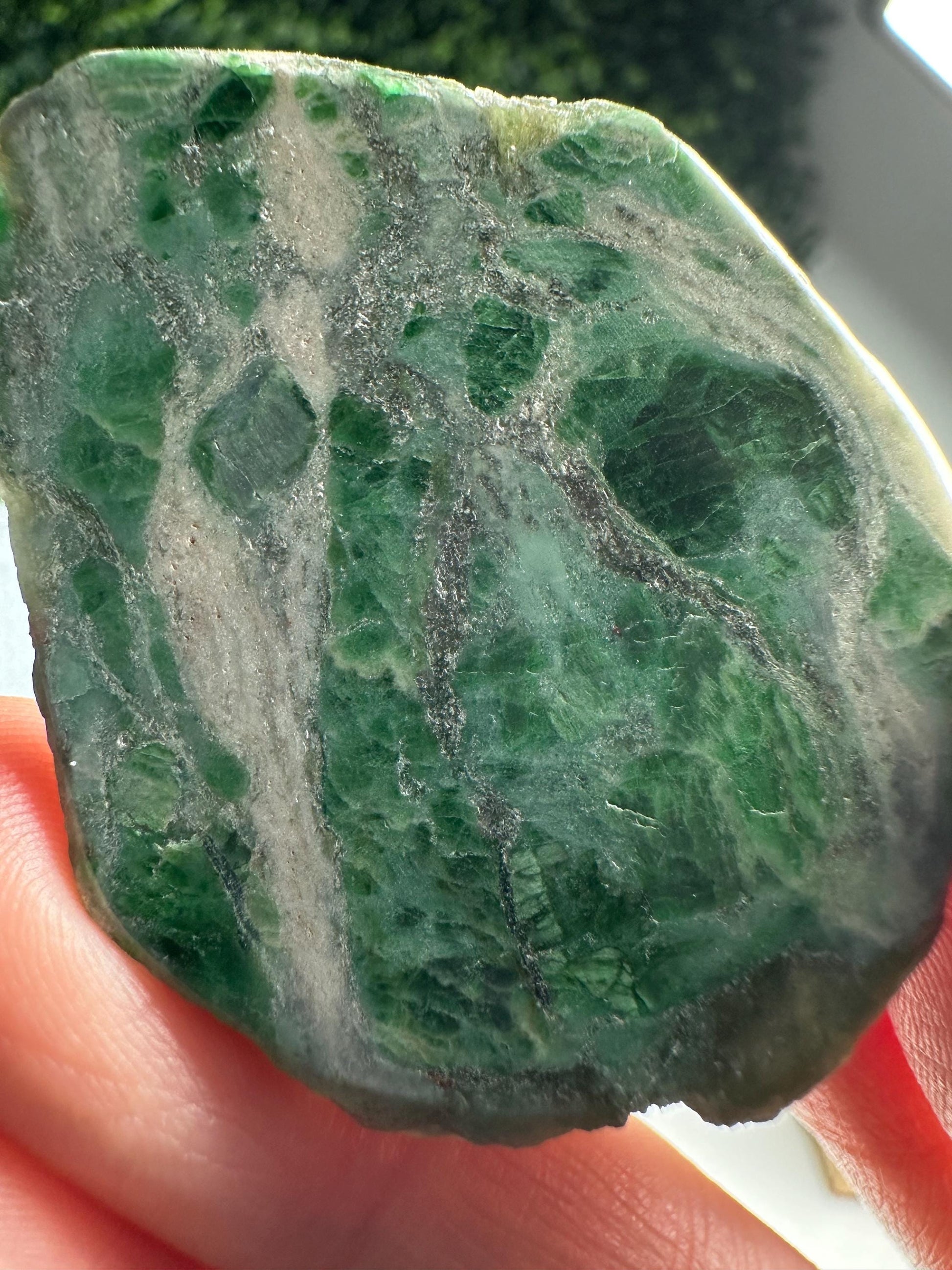 Jadeite from Monviso, Piedmont, Italy | Natural Alpine Jade Crystal Specimen | Collector Mineral Display, Home Decor & Unique Gift