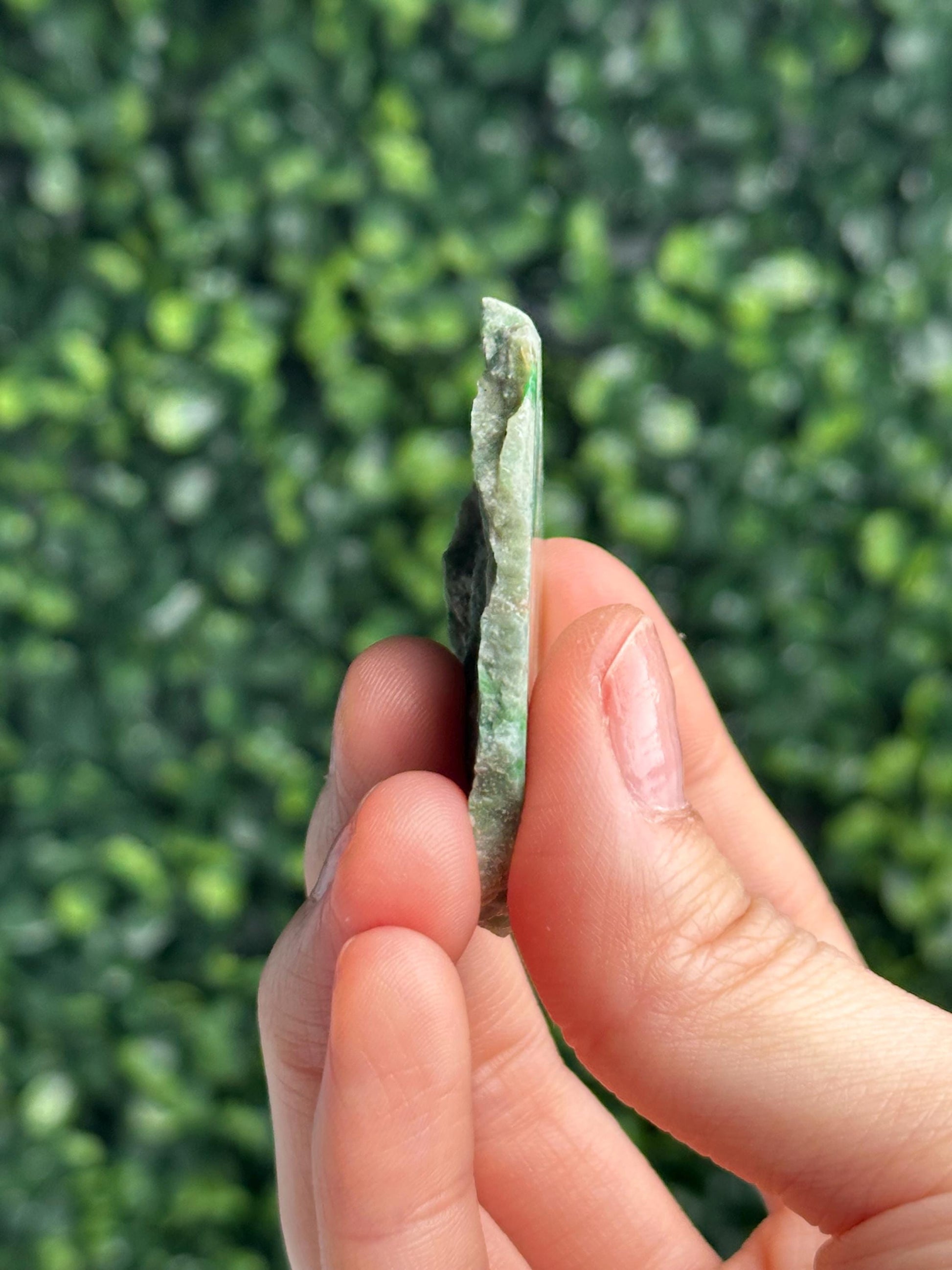 Jadeite from Monviso, Piedmont, Italy | Natural Alpine Jade Crystal Specimen | Collector Mineral Display, Home Decor & Unique Gift