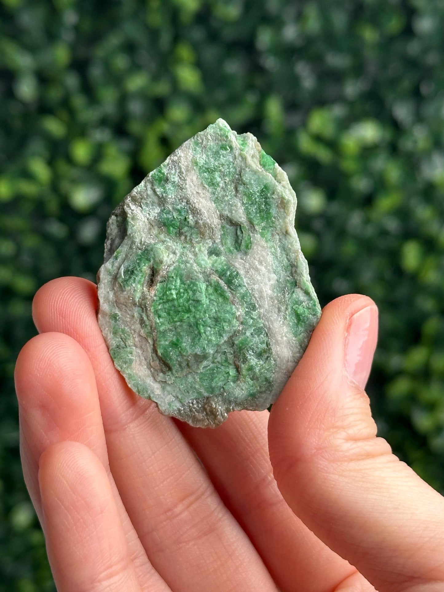 Jadeite from Monviso, Piedmont, Italy | Natural Alpine Jade Crystal Specimen | Collector Mineral Display, Home Decor & Unique Gift