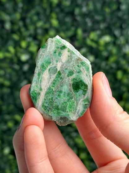Jadeite from Monviso, Piedmont, Italy | Natural Alpine Jade Crystal Specimen | Collector Mineral Display, Home Decor & Unique Gift