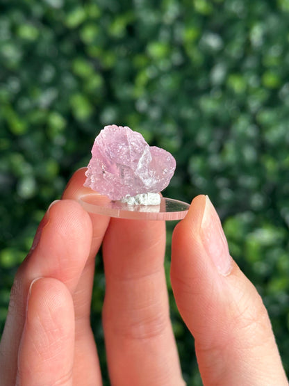 Mini Crystallized Rose Quartz Specimen from Parun, Afghanistan | Natural Gemmy Pink Quartz Crystal | Collector Mineral Display & Unique Gift