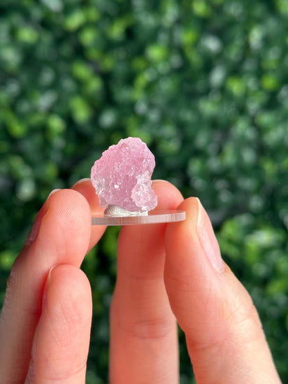 Mini Crystallized Rose Quartz Specimen from Parun, Afghanistan | Natural Gemmy Pink Quartz Crystal | Collector Mineral Display & Unique Gift