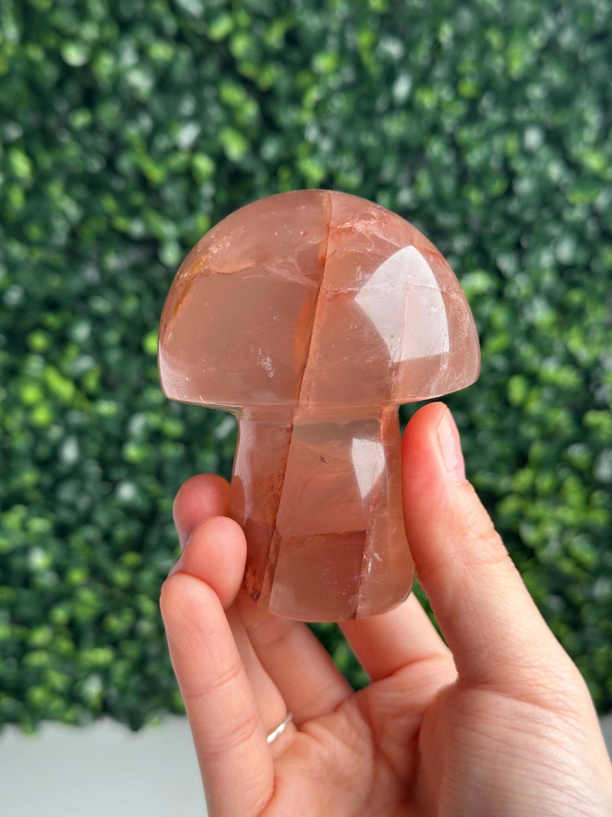 Hematoid Star Rose Quartz Mushroom | Natural Pink Quartz Crystal Carving | Fire Quartz Included Gemstone Decor Gift for Collectors & Display
