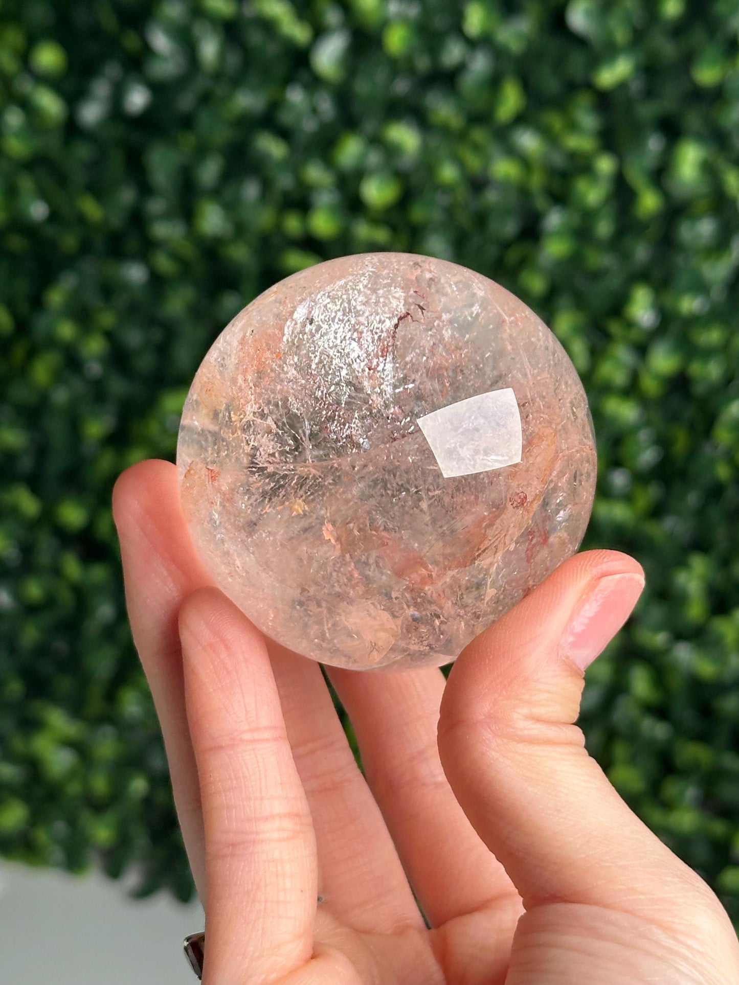 Pink Fire Quartz | Natural Hematite Included Quartz Crystal | Vibrant Mineral Display Piece for Collectors Cabinet Decor Accent