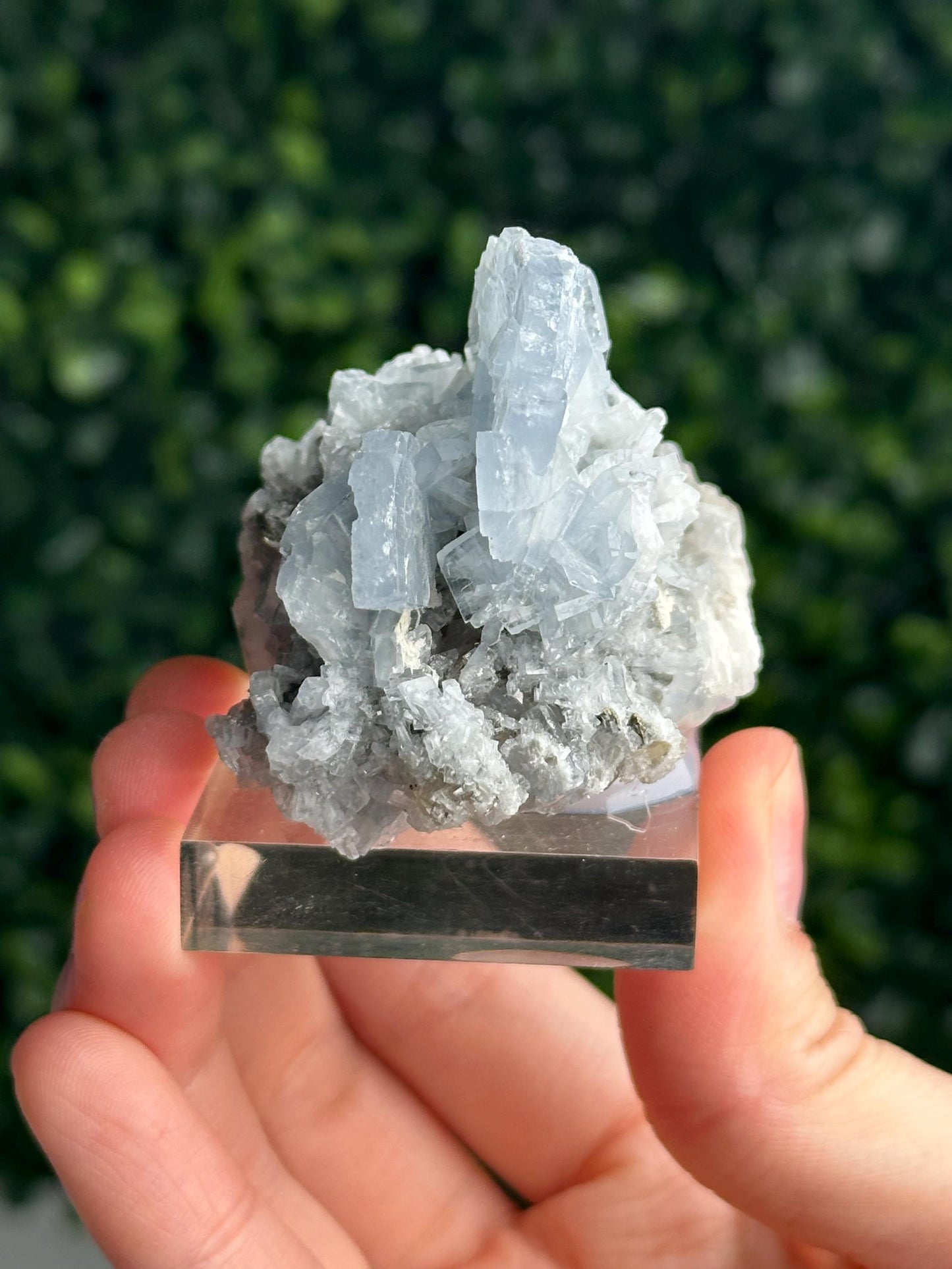 Blue Barite on Quartz from Moscona Mine, Spain | Natural Barite Crystal Specimen on Quartz Matrix | Mineral Collector Display & Unique Gift