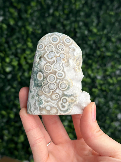 Ocean Jasper Freeform | Natural 2nd Vein Druzy Orbicular Jasper Crystal | Polished Madagascar Gemstone Display, Home Decor & Collector Gift