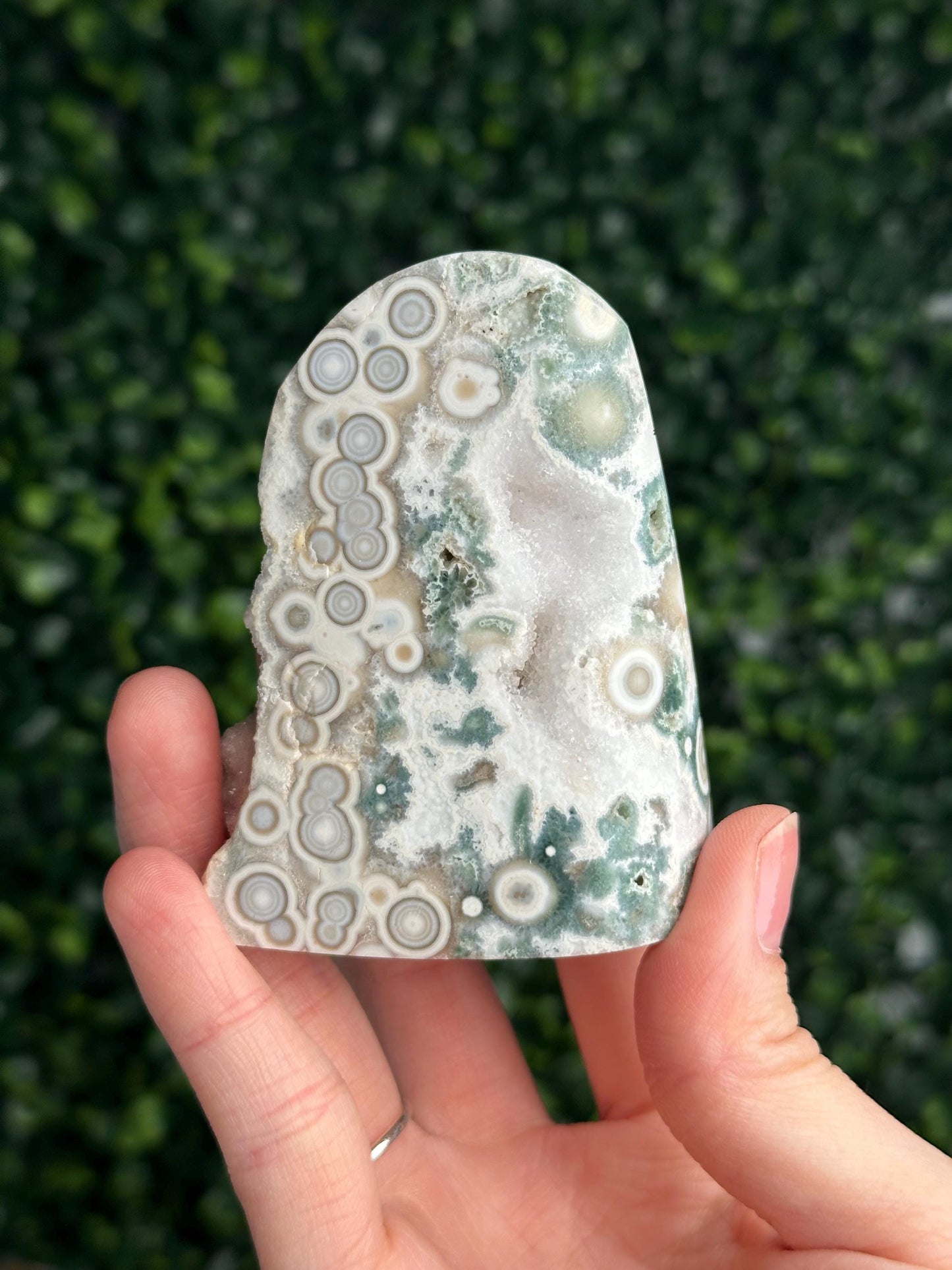 Ocean Jasper Freeform | Natural 2nd Vein Druzy Orbicular Jasper Crystal | Polished Madagascar Gemstone Display, Home Decor & Collector Gift