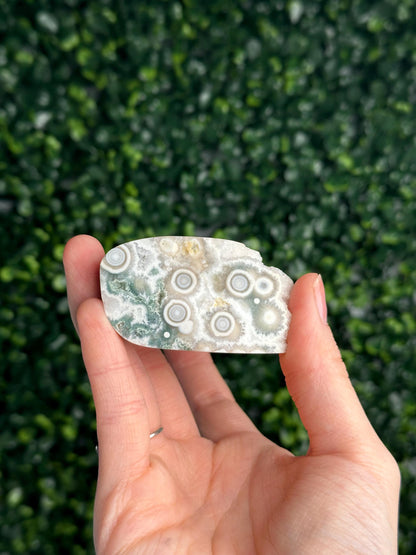 Ocean Jasper Freeform | Natural 2nd Vein Druzy Orbicular Jasper Crystal | Polished Madagascar Gemstone Display, Home Decor & Collector Gift