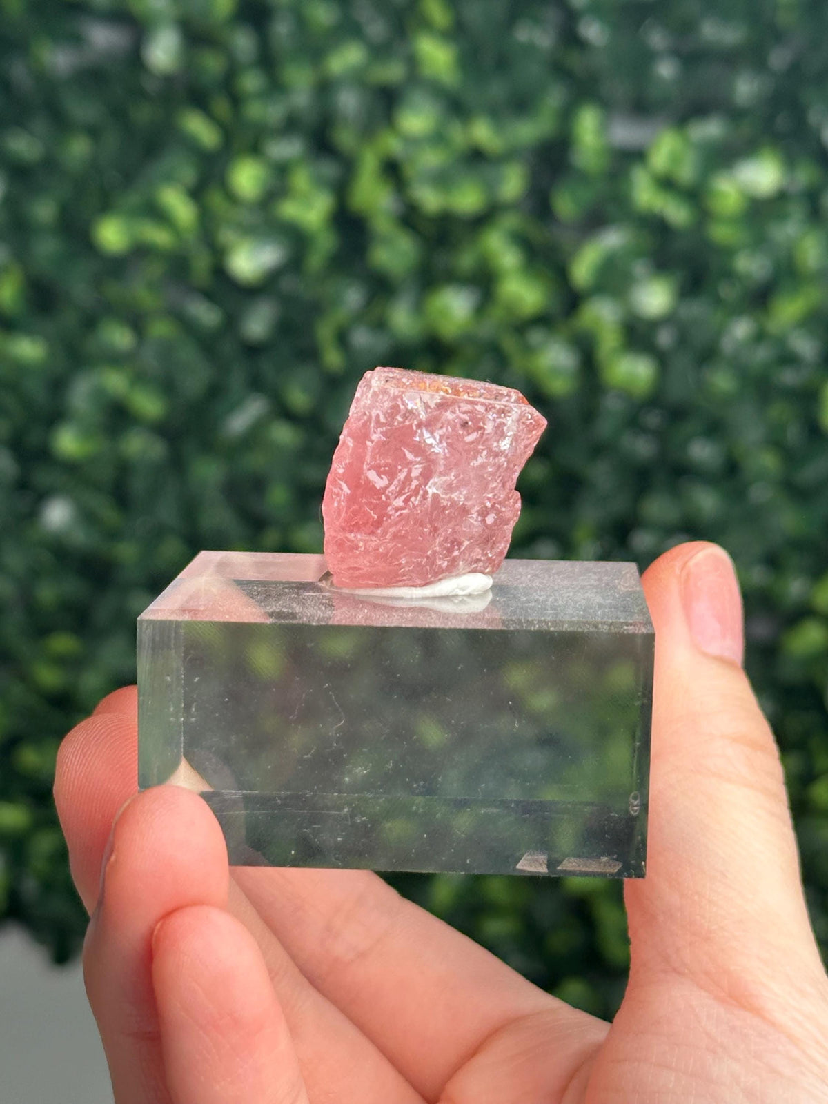 Gemmy Pink Apatite Specimen | Rosy Crystal Formation | Natural Mineral Display Piece | Collector Showcase Decorative Accent