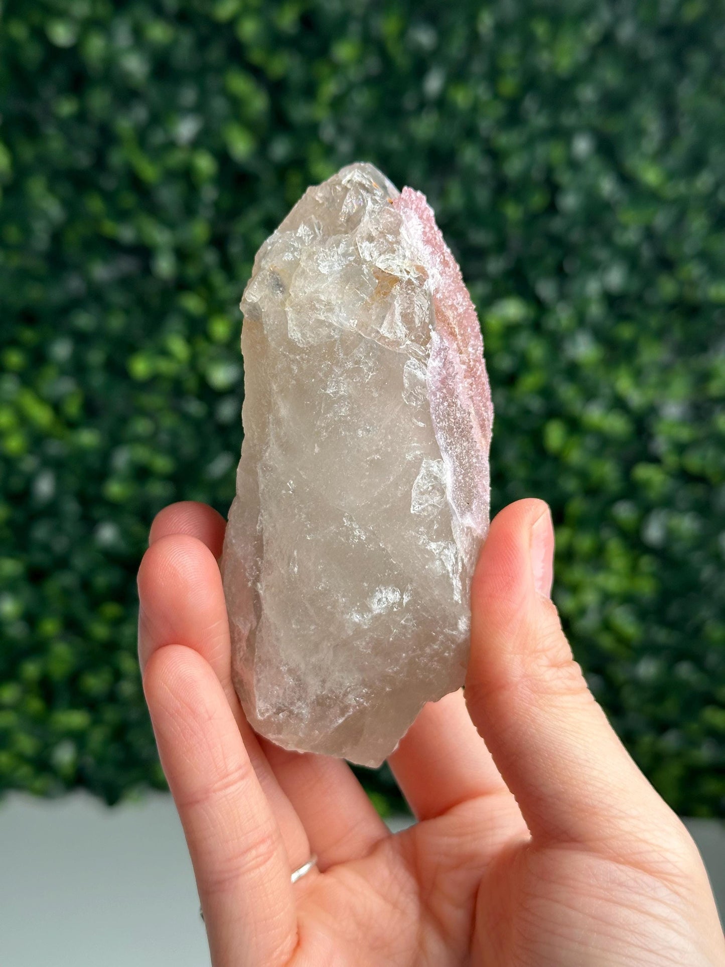 Crystallized Rose Quartz on Quartz from Paprok, Afghanistan | Natural Gemmy Pink Crystal Specimen | Collector Mineral Display & Unique Gift