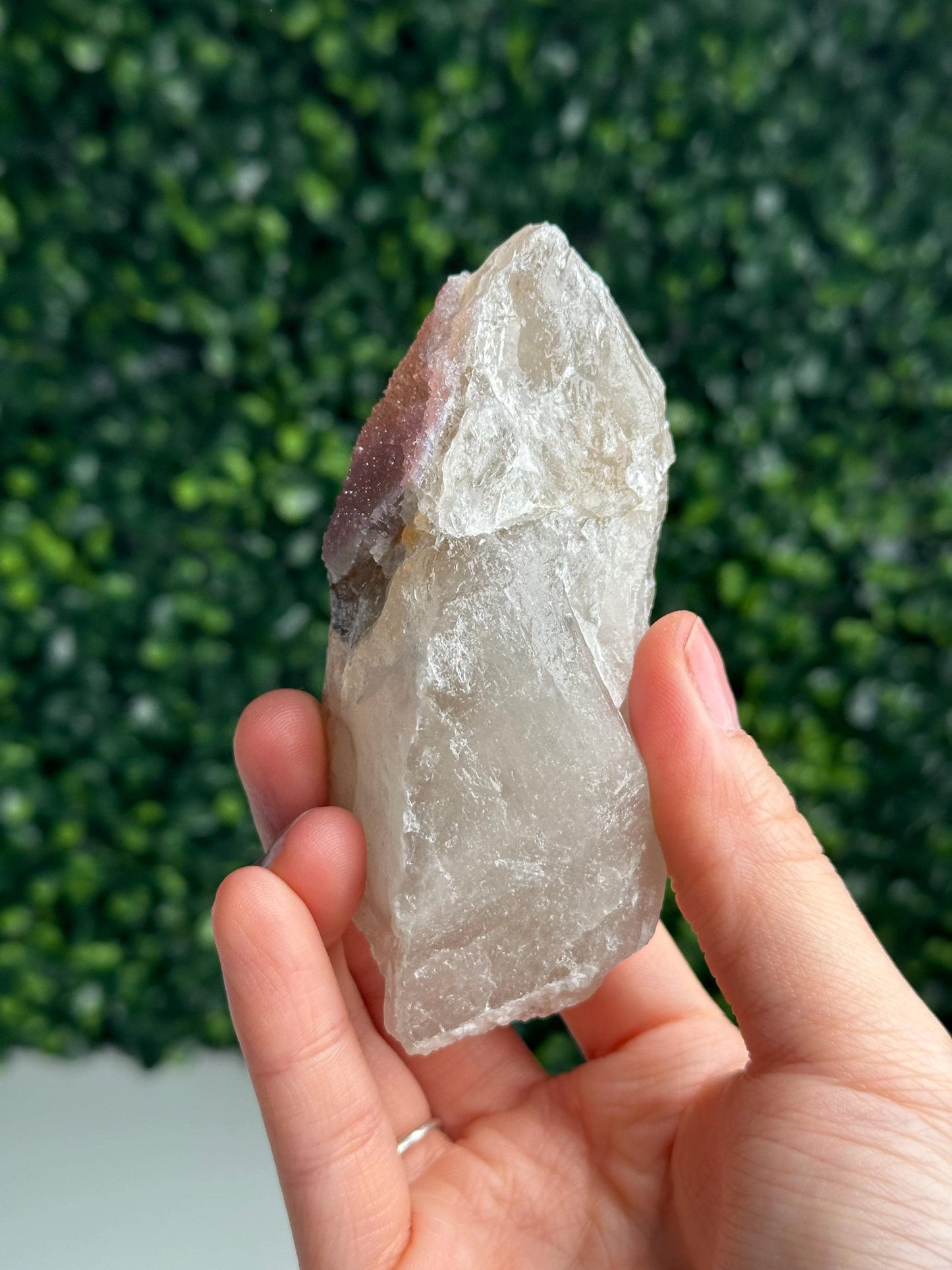 Crystallized Rose Quartz on Quartz from Paprok, Afghanistan | Natural Gemmy Pink Crystal Specimen | Collector Mineral Display & Unique Gift