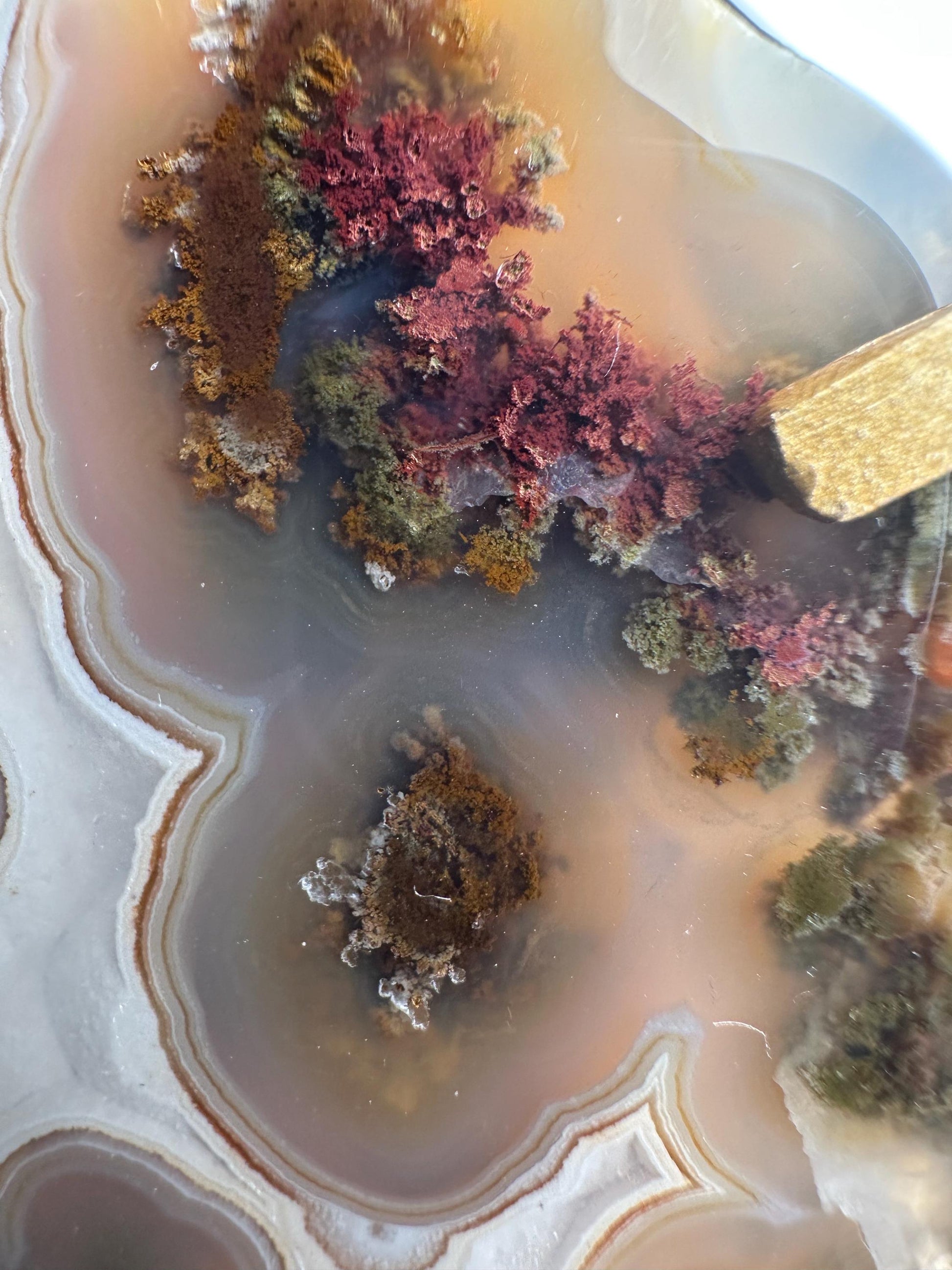 HQ Scenic Moss Agate Heart on Stand | Natural Crystal Display | Polished Gemstone with Landscape Patterns | Unique Home Decor Piece