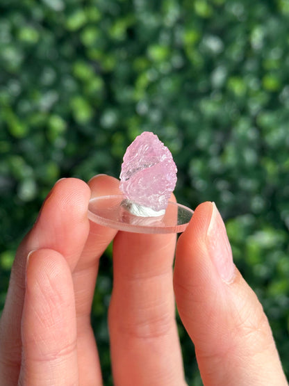 Mini Crystallized Rose Quartz Specimen from Parun, Afghanistan | Natural Gemmy Pink Quartz Crystal | Collector Mineral Display & Unique Gift