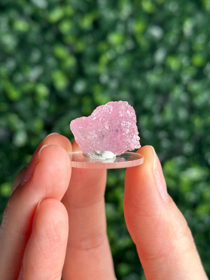 Mini Crystallized Rose Quartz Specimen from Parun, Afghanistan | Natural Gemmy Pink Quartz Crystal | Collector Mineral Display & Unique Gift
