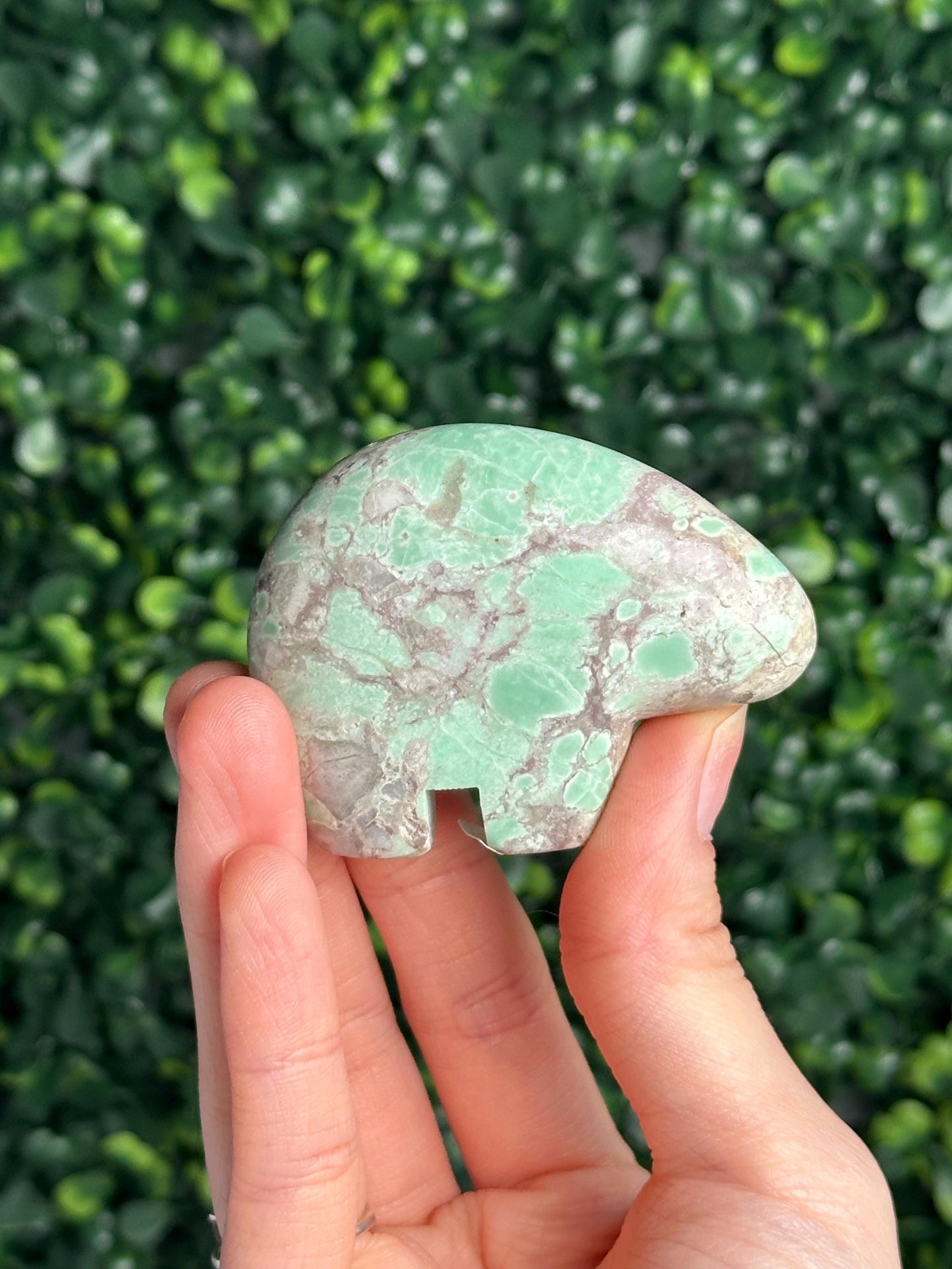 Utah Variscite Zuni Bear Carving | Natural Green Variscite Spirit Animal | Hand Carved Crystal Totem, Collector Piece & Unique Gift