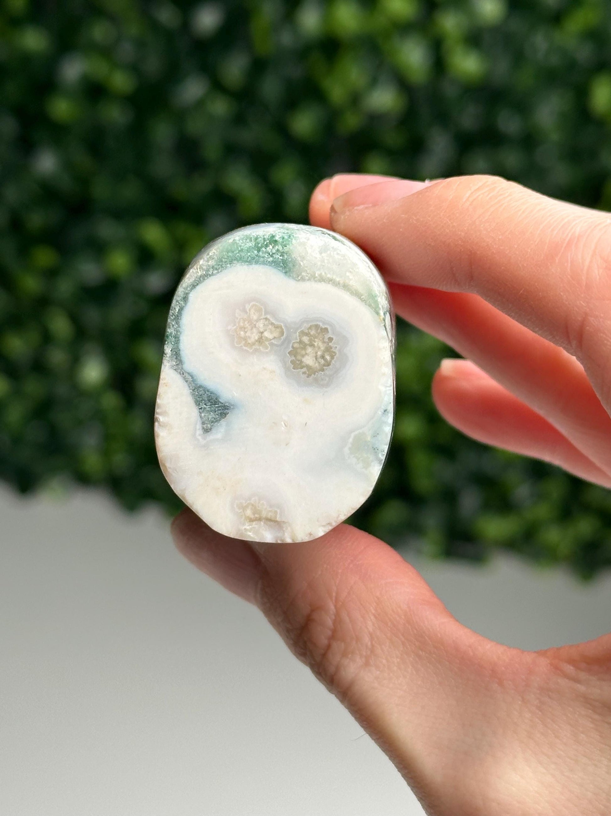 Mini Ocean Jasper Core | Natural Ocean Jasper Crystal | Polished Mini Mineral Core Specimen for Collectors & Display