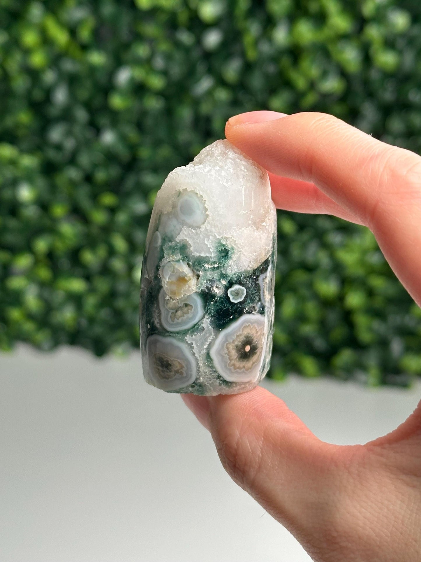 Mini Ocean Jasper Core | Natural Ocean Jasper Crystal | Polished Mini Mineral Core Specimen for Collectors & Display