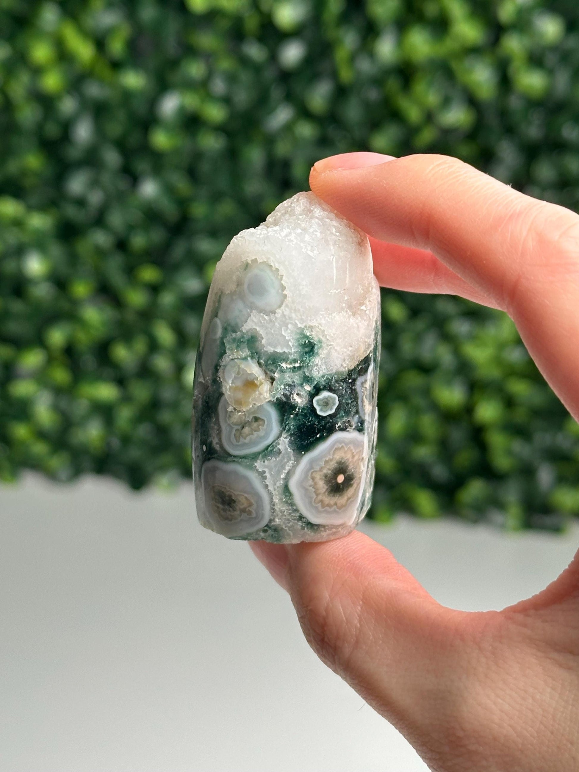 Mini Ocean Jasper Core | Natural Ocean Jasper Crystal | Polished Mini Mineral Core Specimen for Collectors & Display