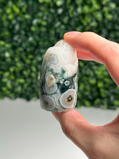 Mini Ocean Jasper Core | Natural Ocean Jasper Crystal | Polished Mini Mineral Core Specimen for Collectors & Display