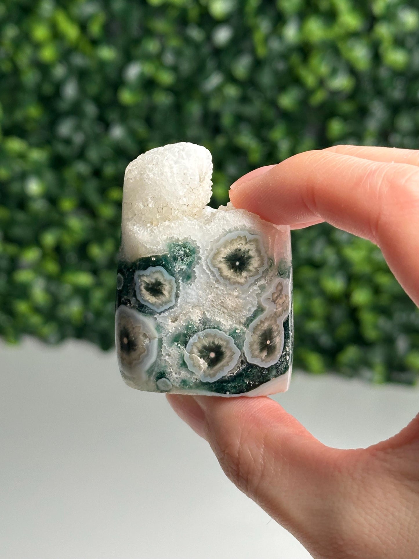 Mini Ocean Jasper Core | Natural Ocean Jasper Crystal | Polished Mini Mineral Core Specimen for Collectors & Display