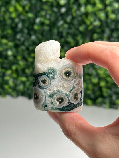 Mini Ocean Jasper Core | Natural Ocean Jasper Crystal | Polished Mini Mineral Core Specimen for Collectors & Display