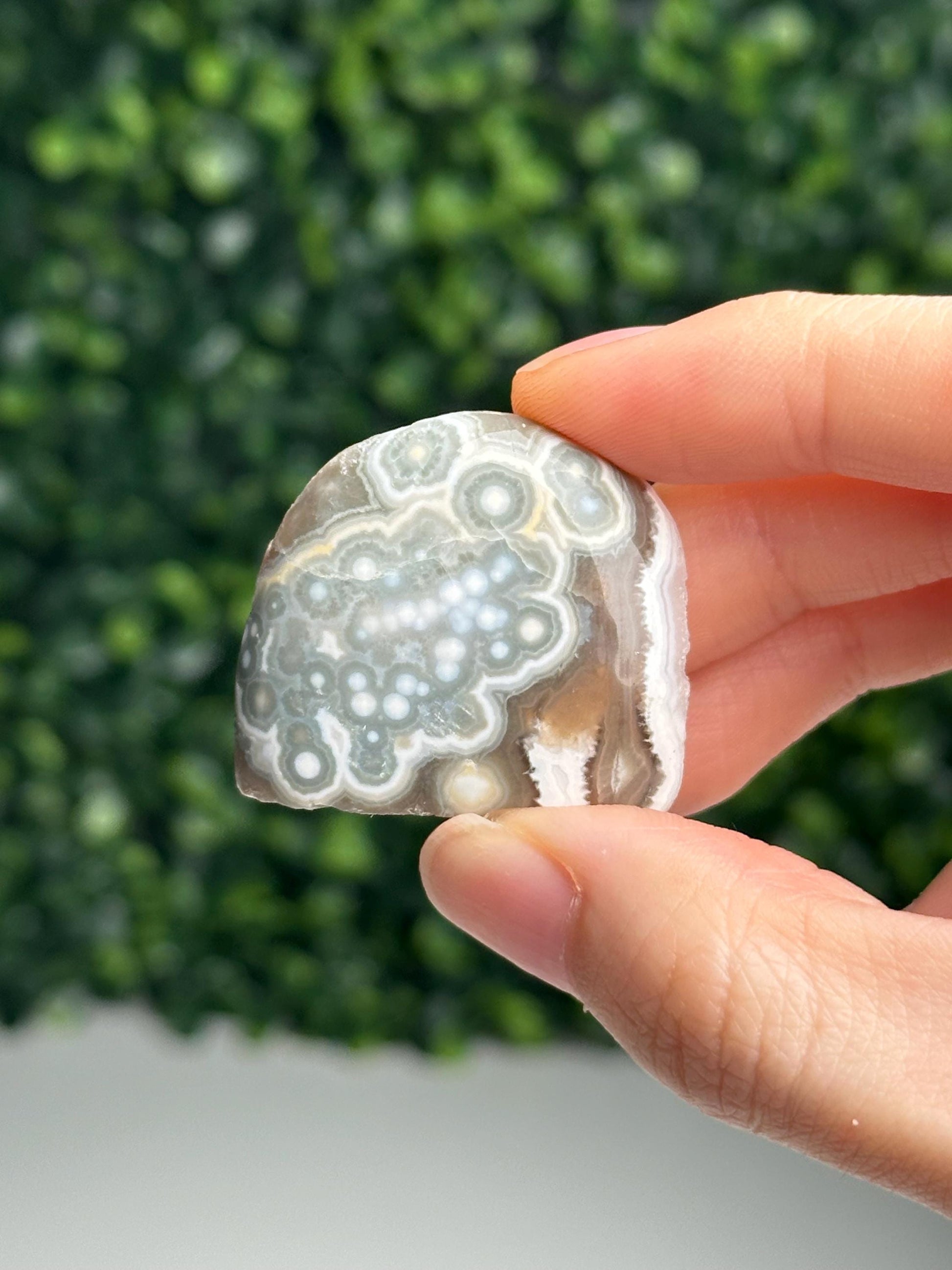 Mini Ocean Jasper Freeform | Natural Druzy Orbicular Jasper Crystal | Polished Madagascar Gemstone Display, Home Decor & Collector Gift