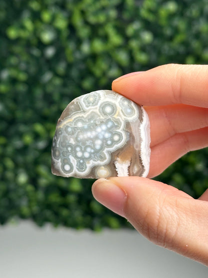 Mini Ocean Jasper Freeform | Natural Druzy Orbicular Jasper Crystal | Polished Madagascar Gemstone Display, Home Decor & Collector Gift