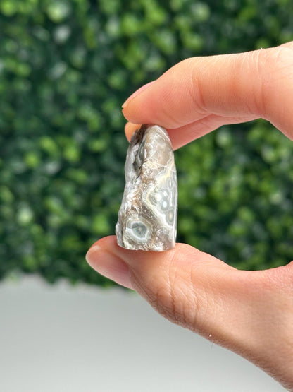 Mini Ocean Jasper Freeform | Natural Druzy Orbicular Jasper Crystal | Polished Madagascar Gemstone Display, Home Decor & Collector Gift