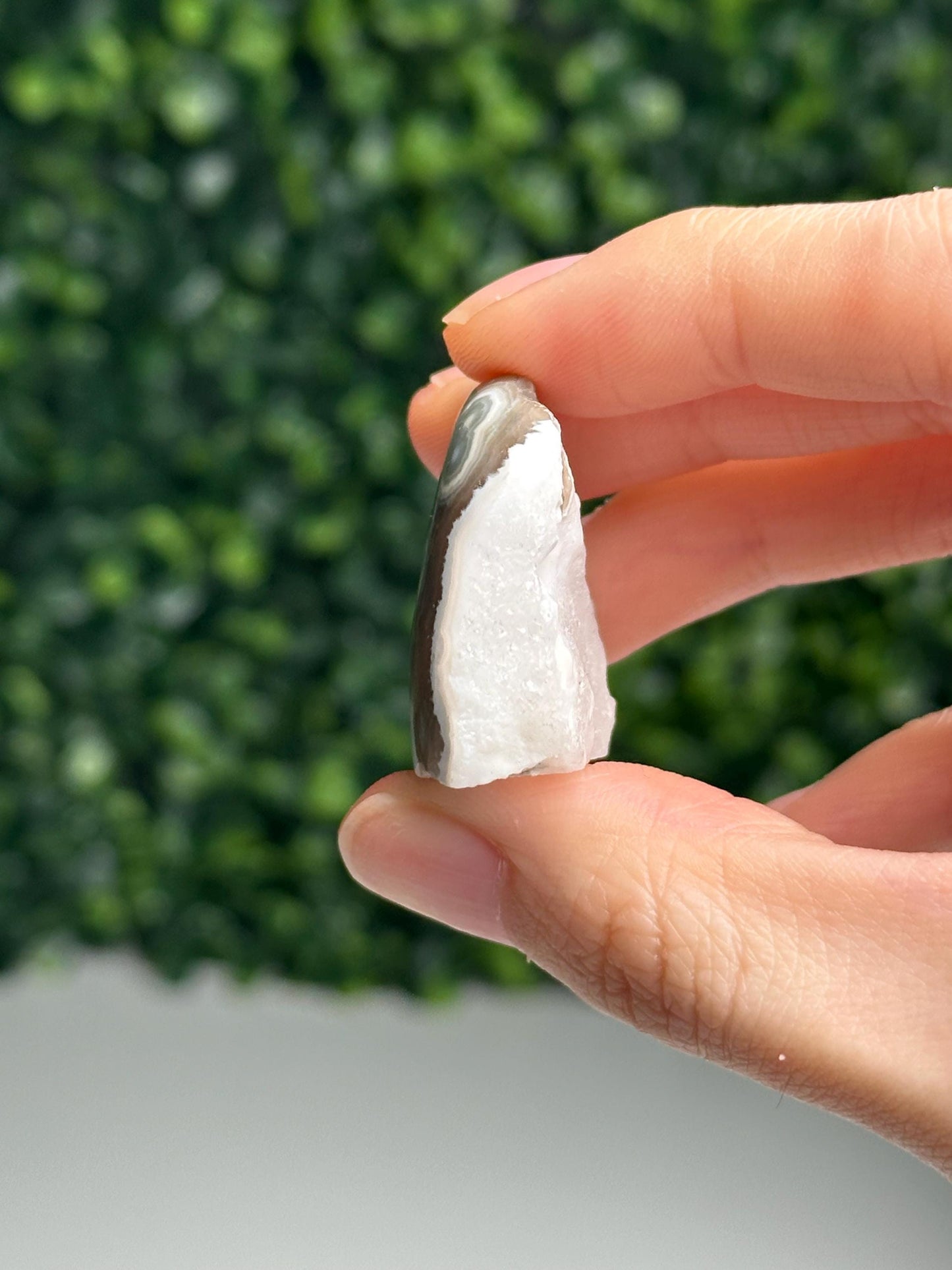 Mini Ocean Jasper Freeform | Natural Druzy Orbicular Jasper Crystal | Polished Madagascar Gemstone Display, Home Decor & Collector Gift