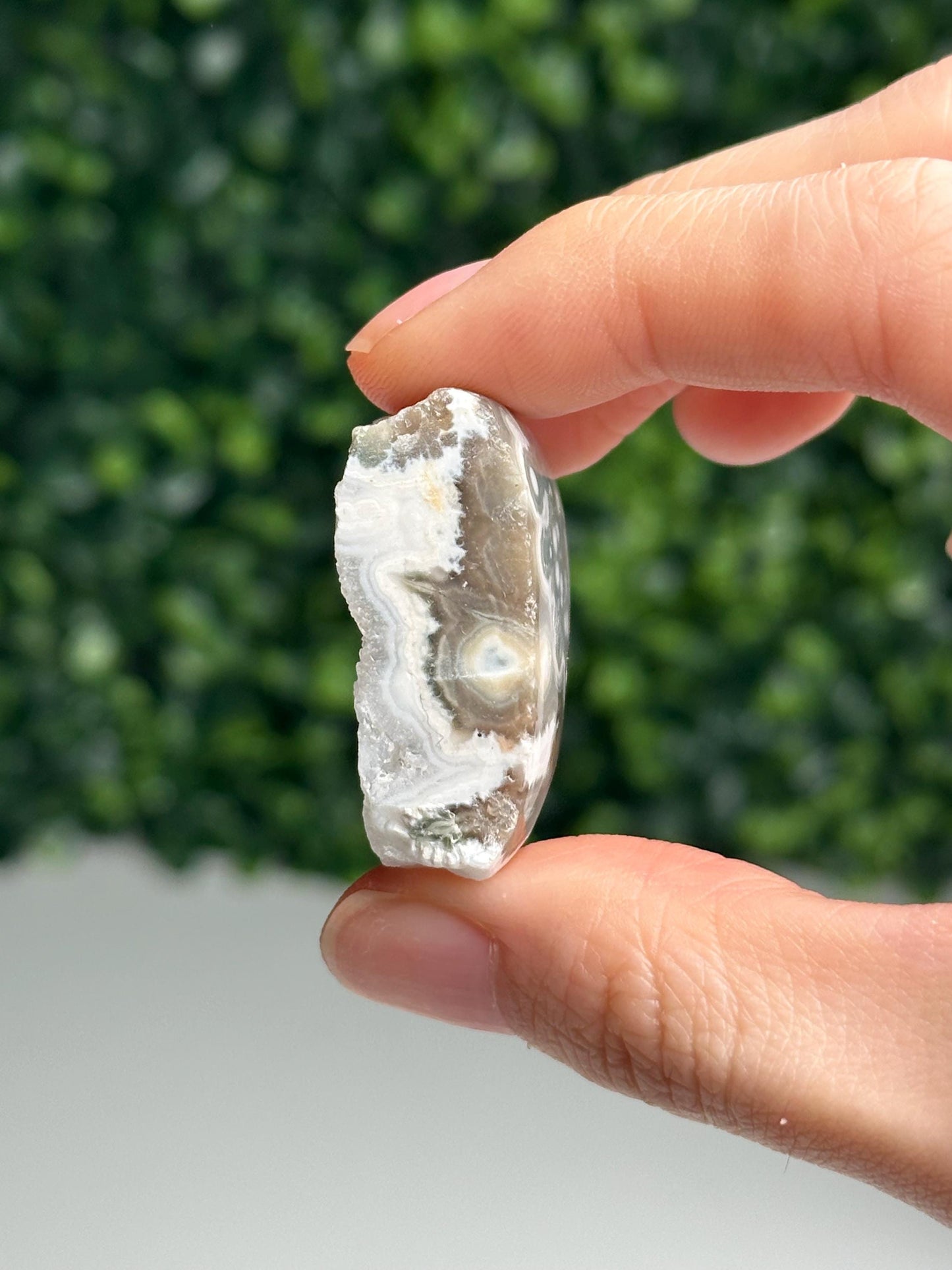 Mini Ocean Jasper Freeform | Natural Druzy Orbicular Jasper Crystal | Polished Madagascar Gemstone Display, Home Decor & Collector Gift