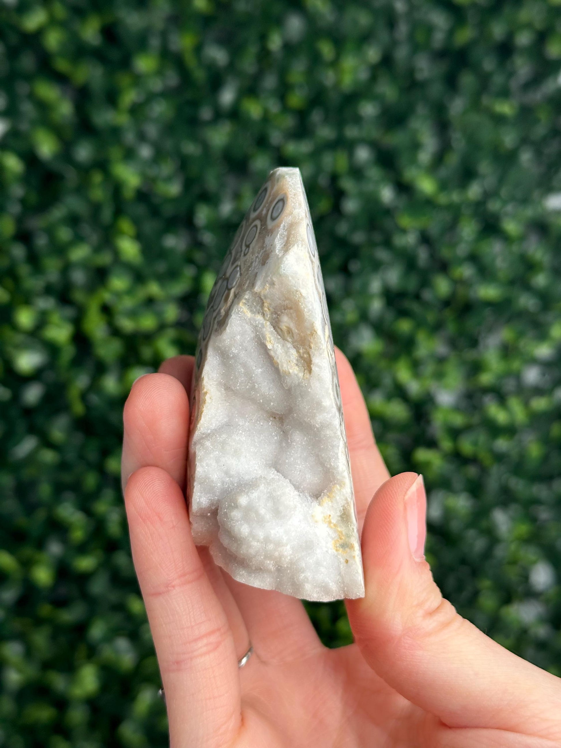 Ocean Jasper Freeform | Natural 2nd Vein Druzy Orbicular Jasper Crystal | Polished Madagascar Gemstone Display, Home Decor & Collector Gift