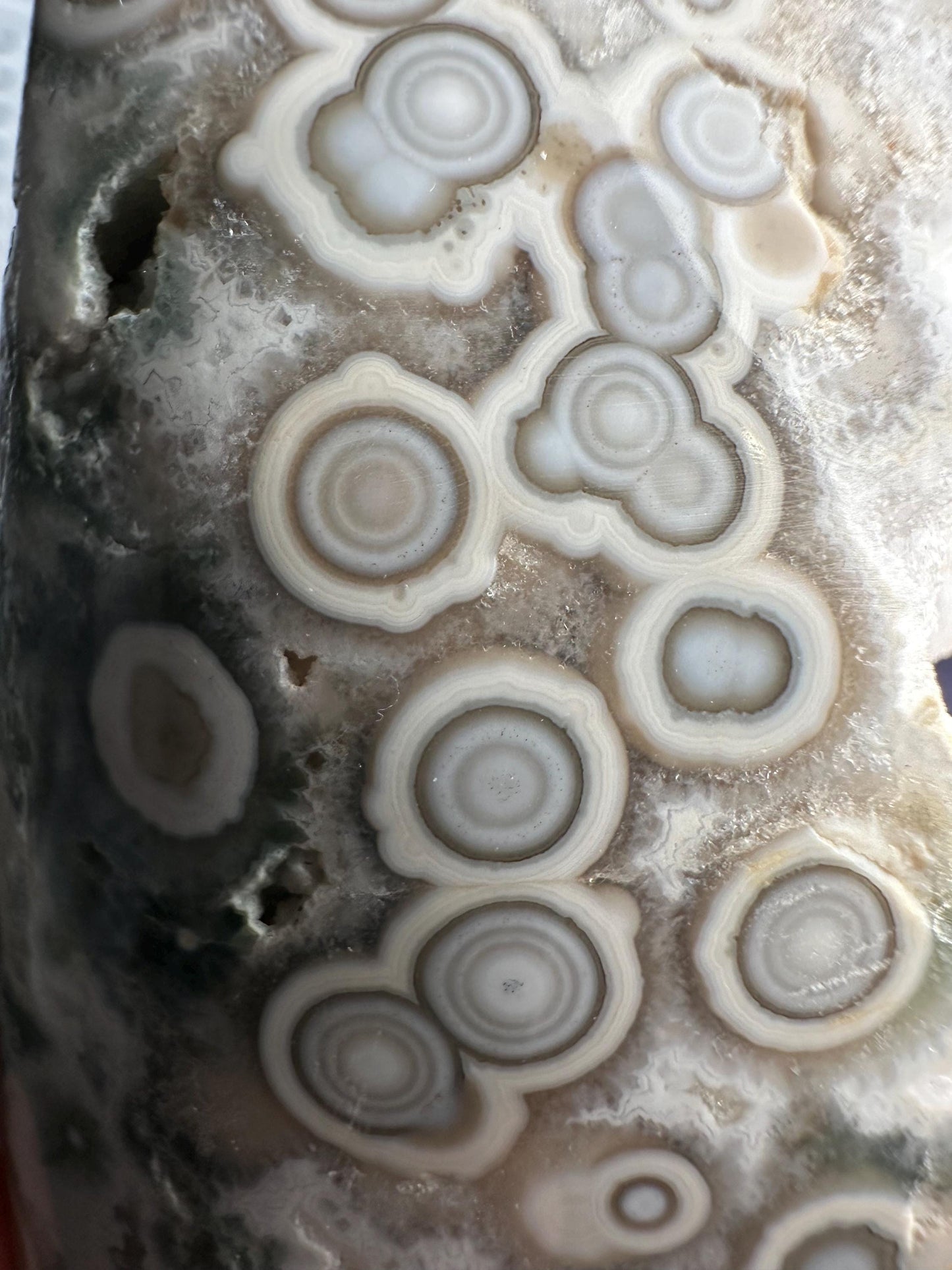 Ocean Jasper Freeform | Natural 2nd Vein Druzy Orbicular Jasper Crystal | Polished Madagascar Gemstone Display, Home Decor & Collector Gift