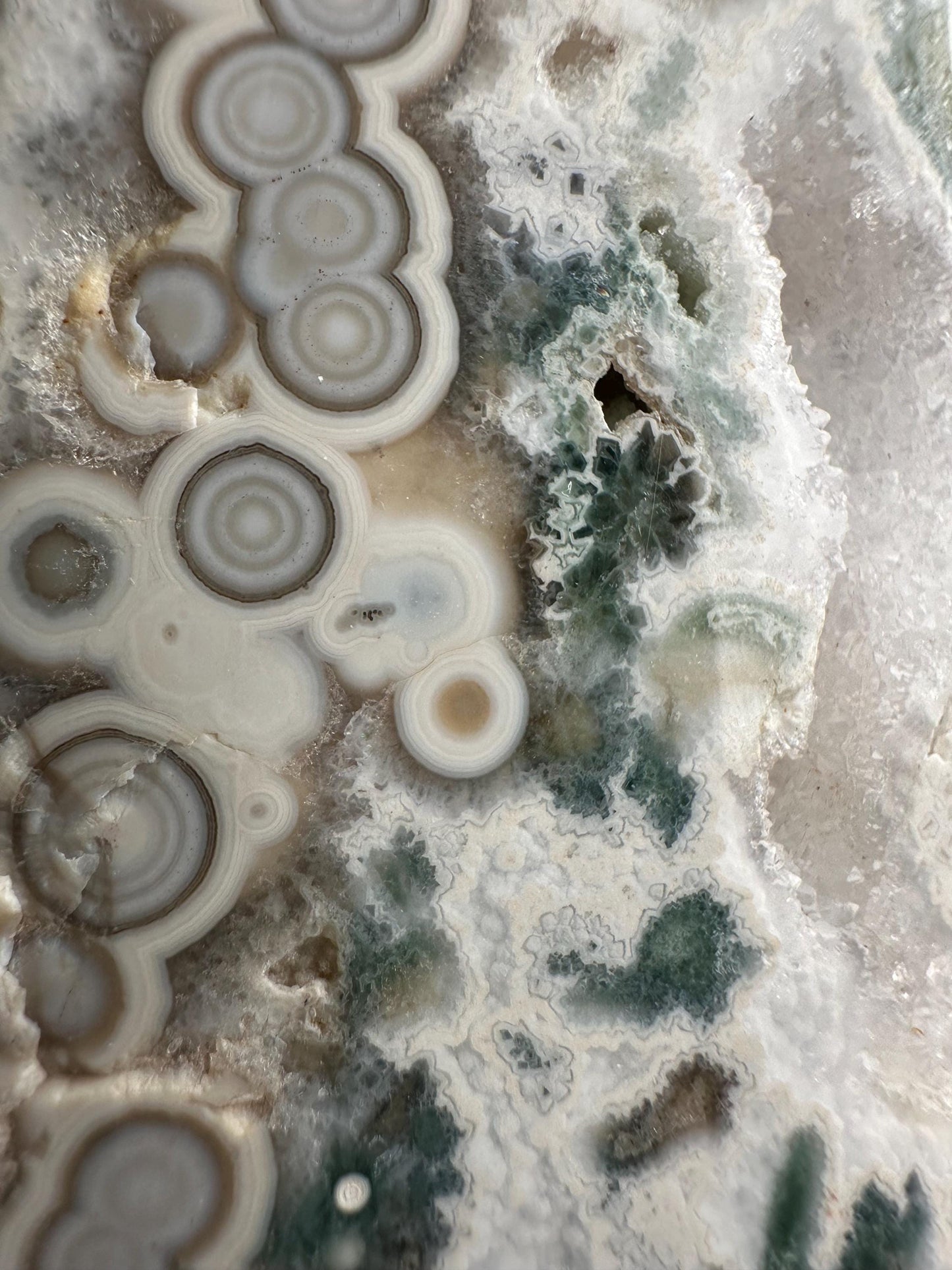 Ocean Jasper Freeform | Natural 2nd Vein Druzy Orbicular Jasper Crystal | Polished Madagascar Gemstone Display, Home Decor & Collector Gift