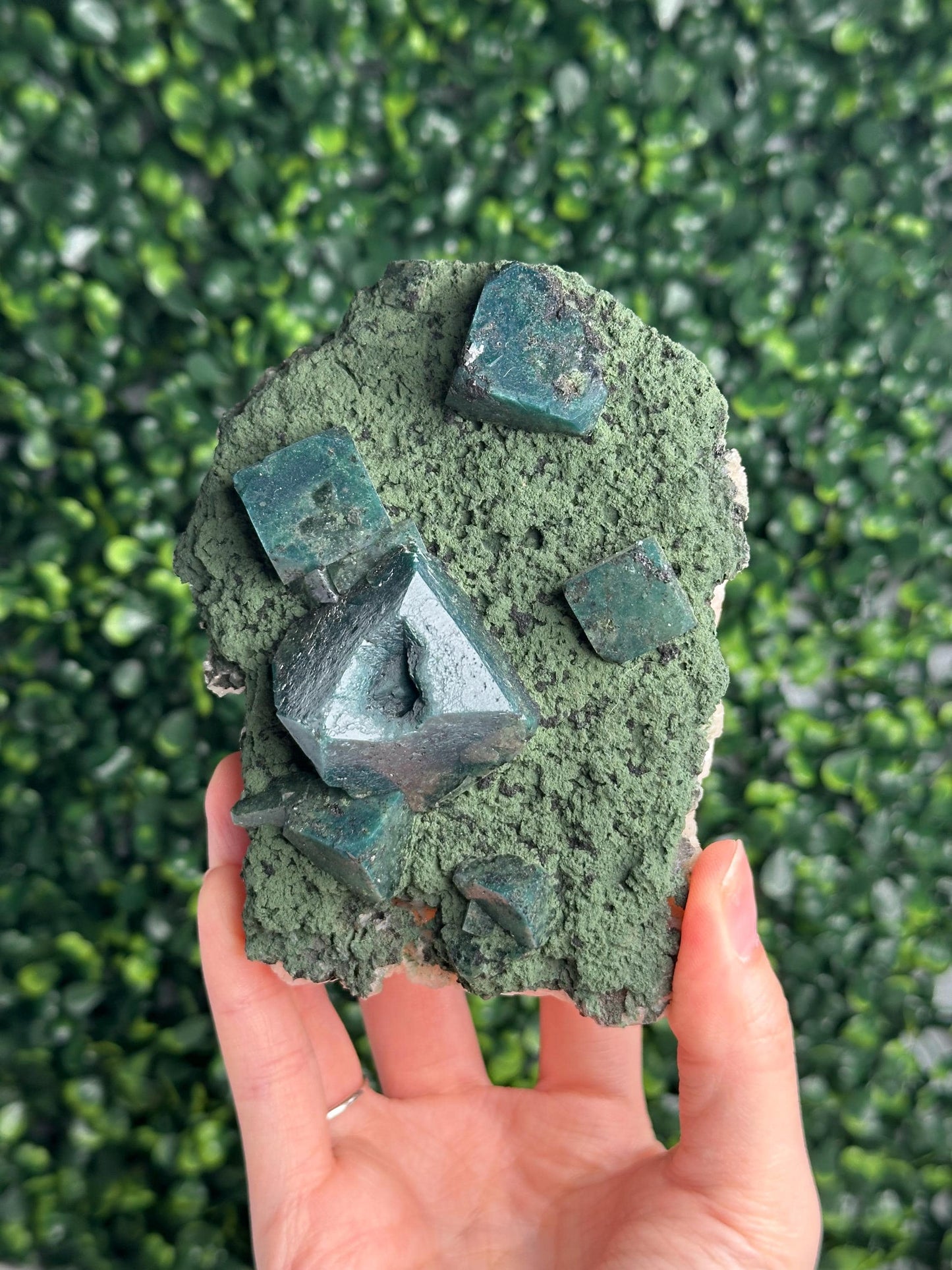 Celadonite Included Apophyllite on Stilbite with Chlorite | Natural Green Crystal Cluster | Mineral Specimen, Collector Display & Decor