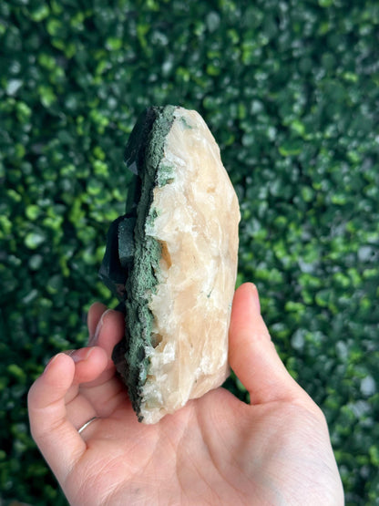 Celadonite Included Apophyllite on Stilbite with Chlorite | Natural Green Crystal Cluster | Mineral Specimen, Collector Display & Decor